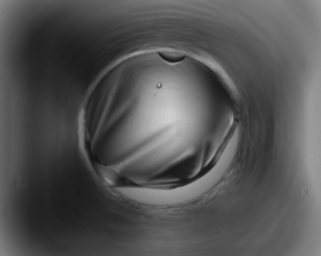 X0000087621524200705181304