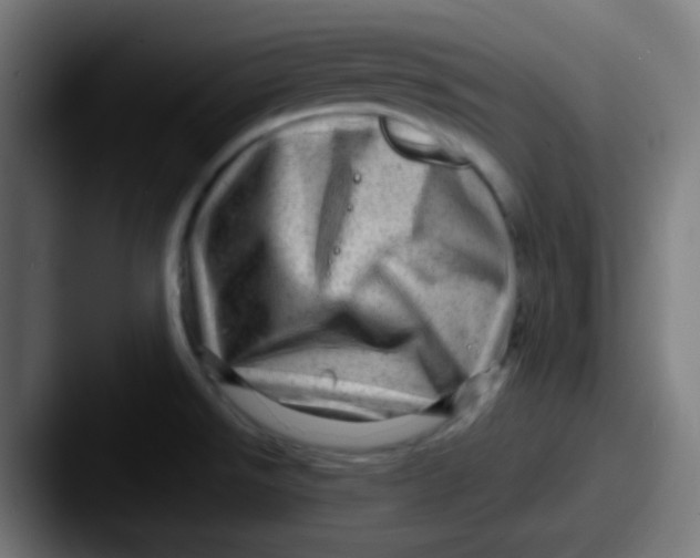 X0000087621526200705181304