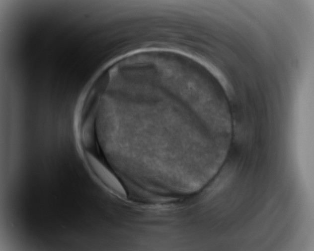 X0000087621527200705181304