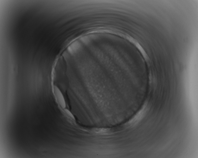 X0000087621529200705181304