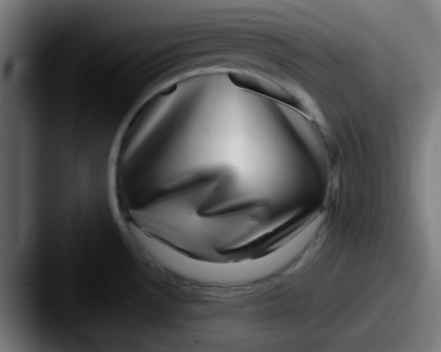 X0000087621530200705181304