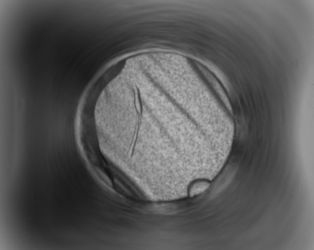 X0000087621531200705181304