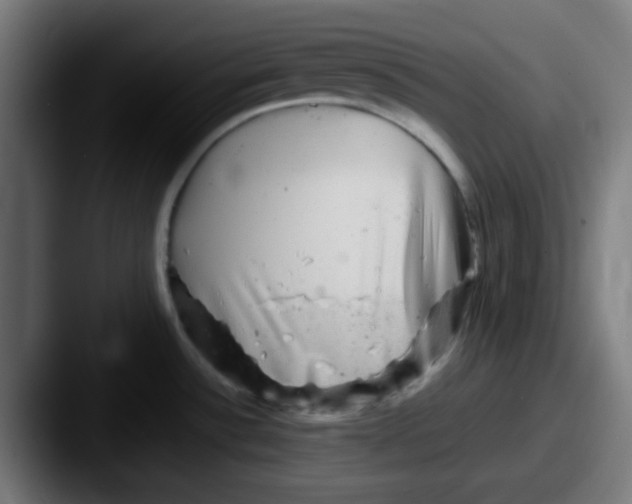 X0000087621532200705181304