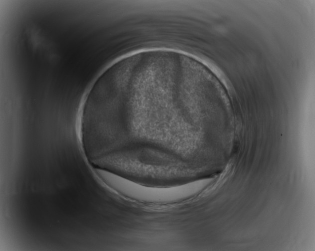 X0000087621535200705181304