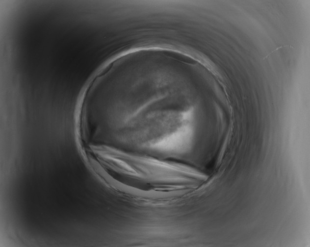 X0000087621536200705181304