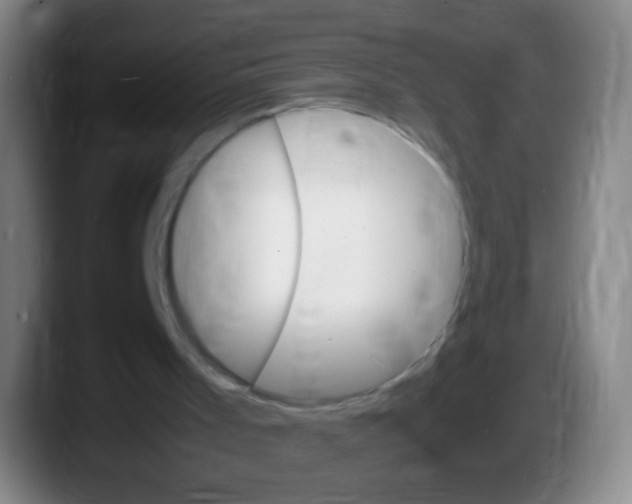 X0000087620001200705252012