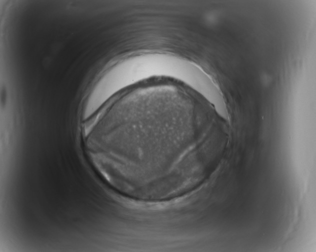 X0000087620002200705252012