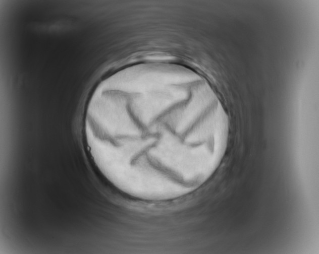 X0000087620003200705252012