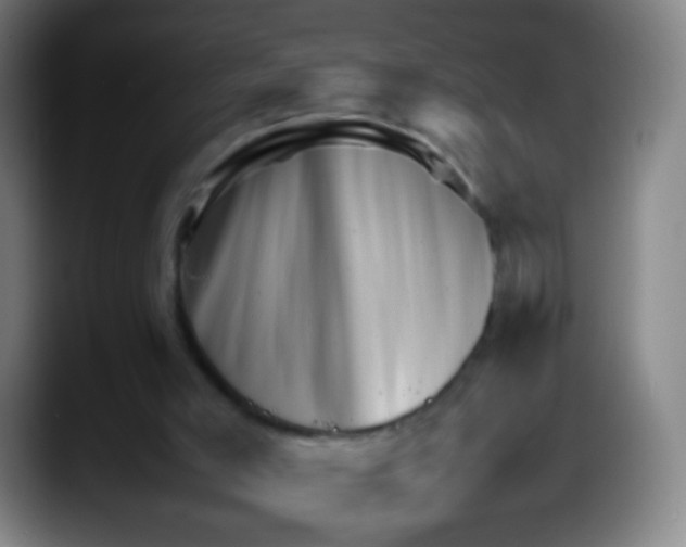 X0000087620005200705252012