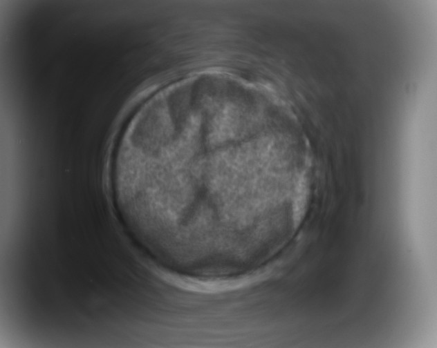 X0000087620006200705252012
