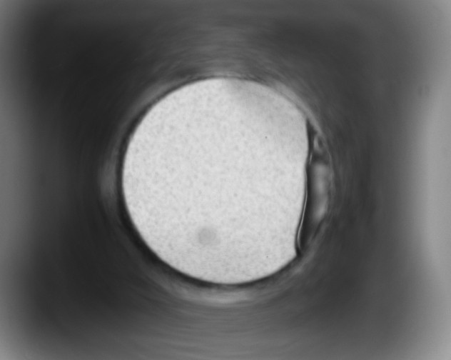 X0000087620008200705252012