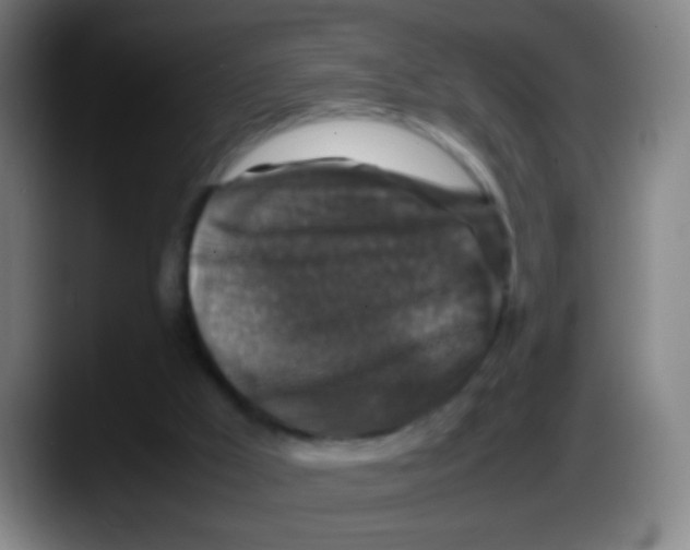 X0000087620009200705252012