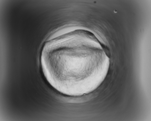 X0000087620011200705252012