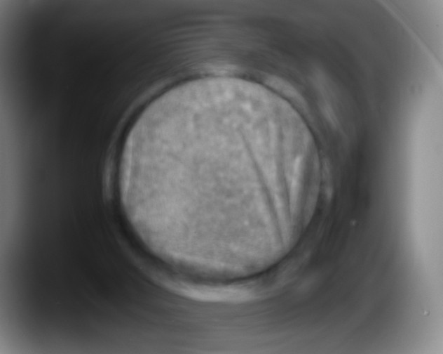 X0000087620012200705252012