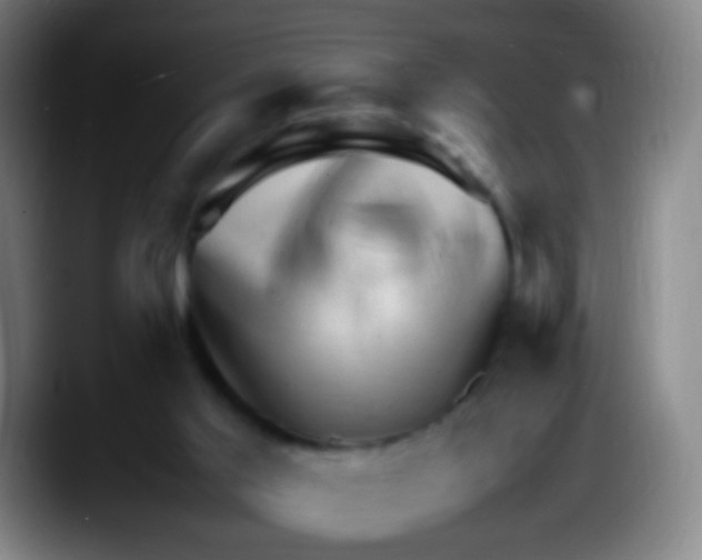 X0000087620013200705252012