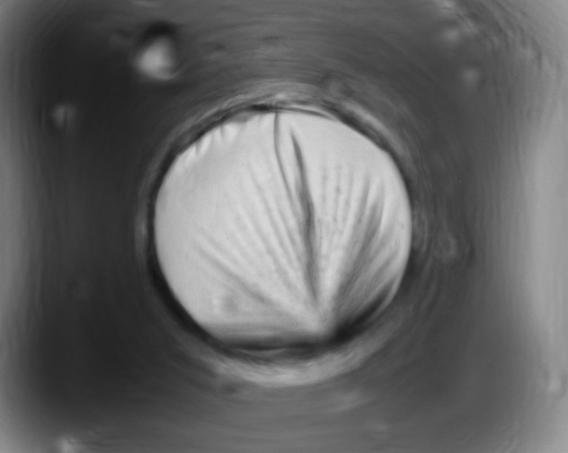 X0000087620015200705252012