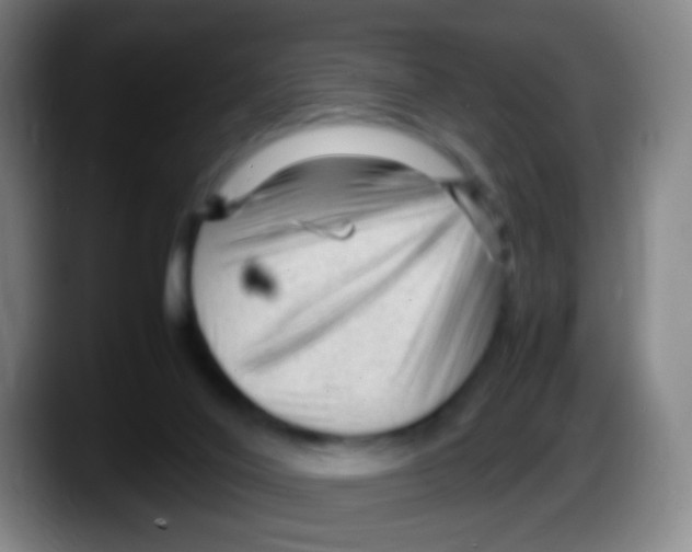 X0000087620020200705252012