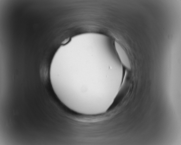 X0000087620021200705252012