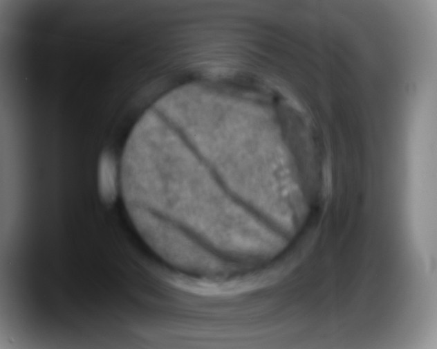 X0000087620022200705252012