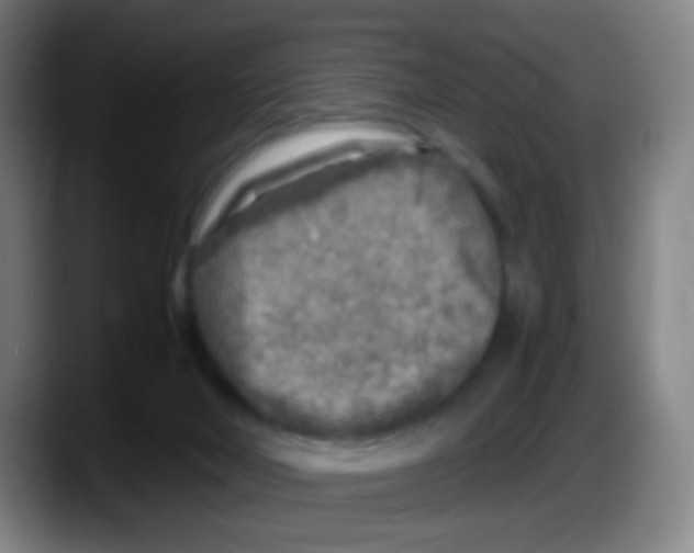 X0000087620026200705252012