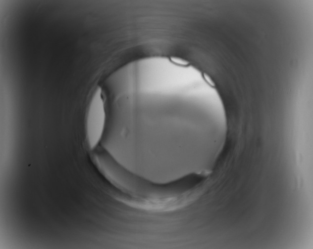 X0000087620027200705252011