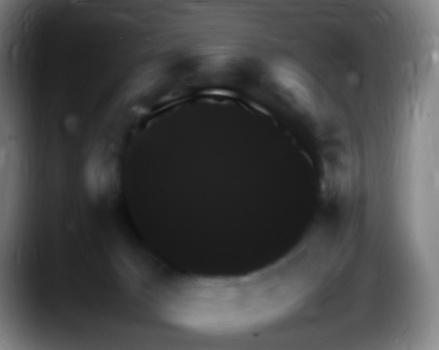 X0000087620029200705252011