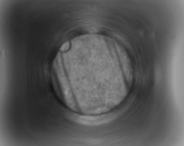 X0000087620030200705252011