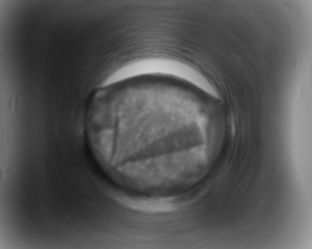 X0000087620032200705252011
