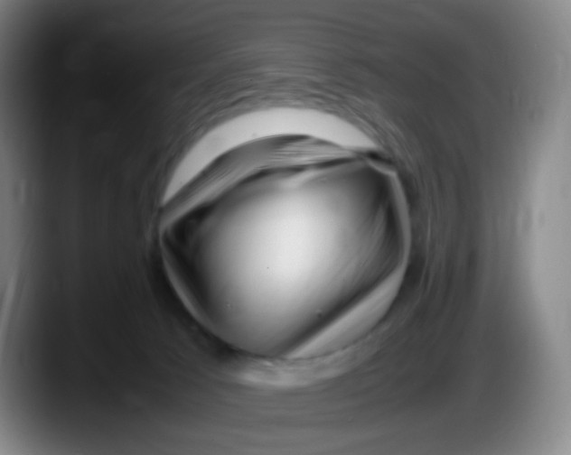 X0000087620033200705252011