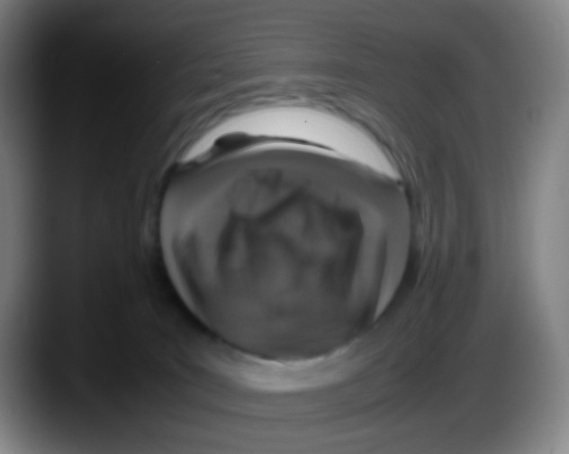X0000087620035200705252011