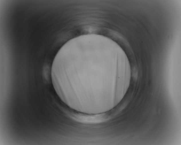 X0000087620036200705252011
