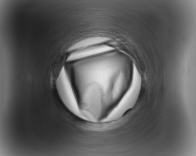 X0000087620037200705252011