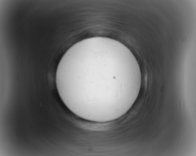 X0000087620040200705252011