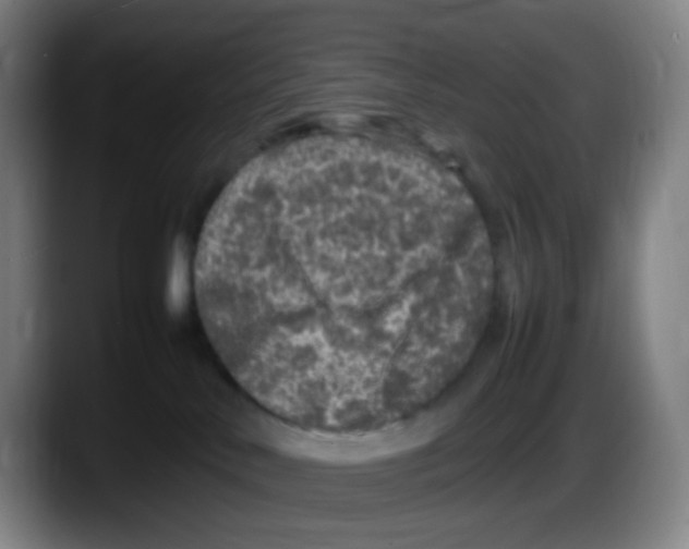 X0000087620042200705252011