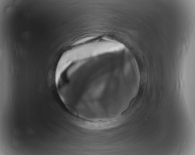 X0000087620043200705252011