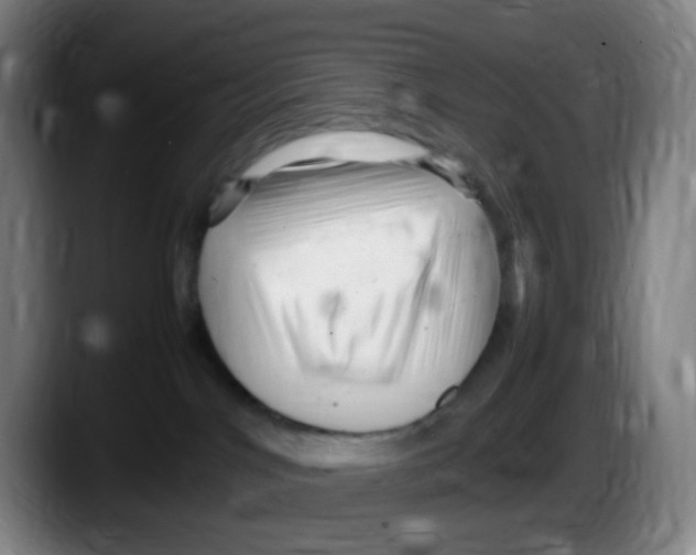 X0000087620044200705252011