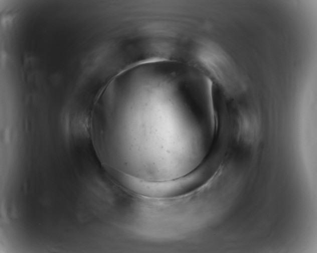X0000087620045200705252011