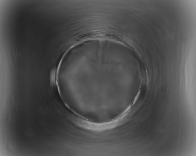 X0000087620047200705252011