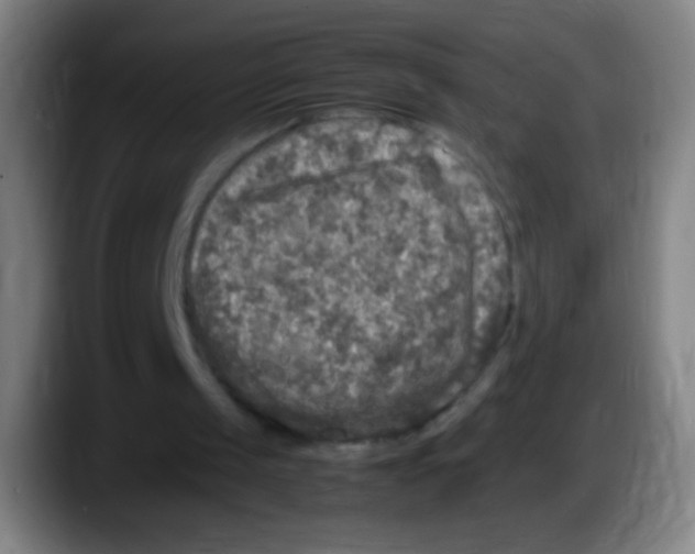 X0000087620049200705252011