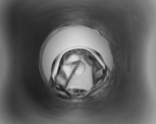X0000087620052200705252011