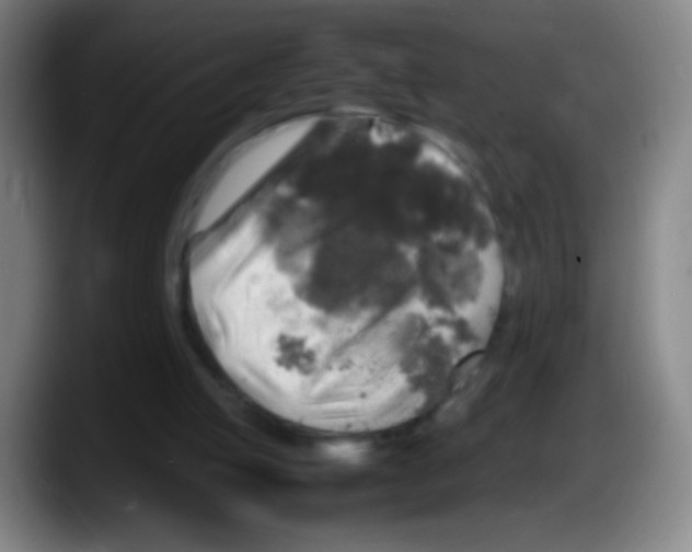 X0000087620053200705252011