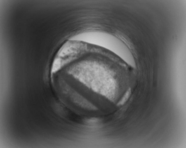 X0000087620058200705252011