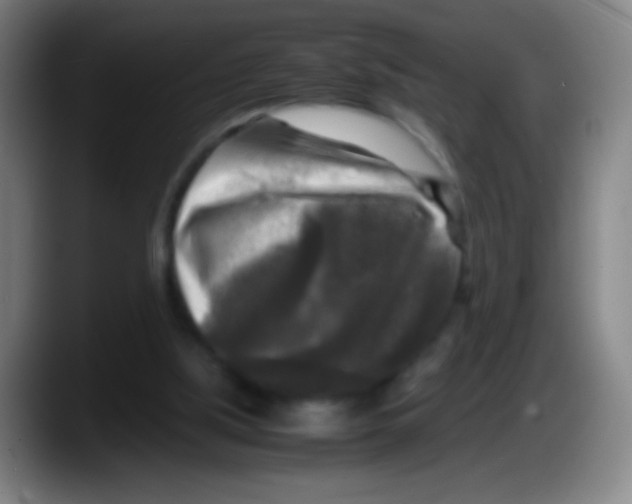 X0000087620059200705252011