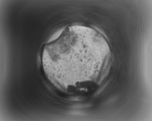 X0000087620061200705252011