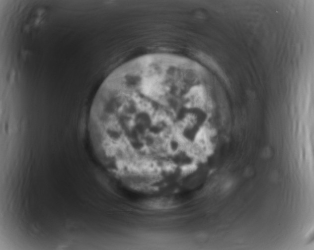 X0000087620065200705252011