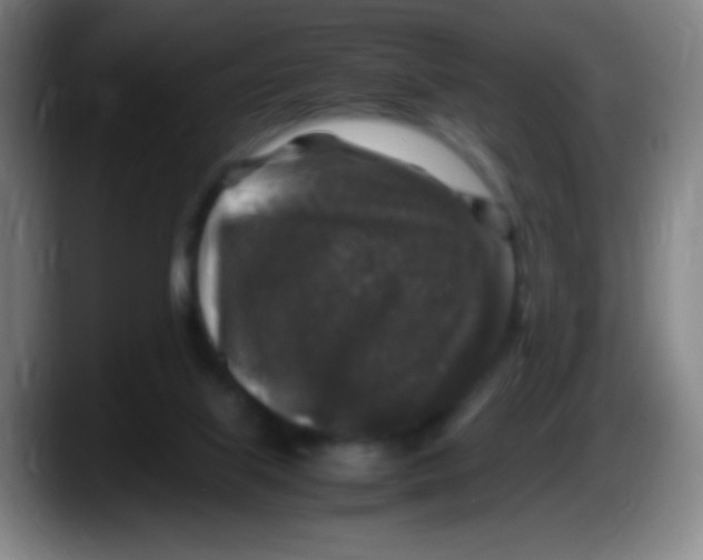 X0000087620067200705252011
