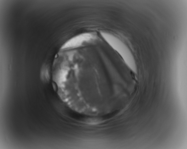 X0000087620069200705252011