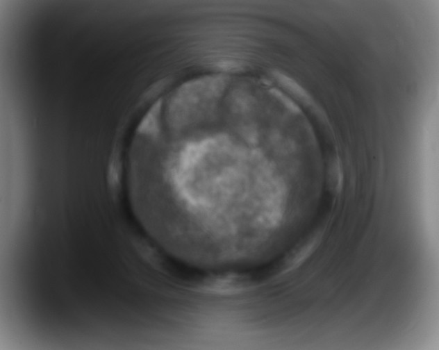X0000087620072200705252011
