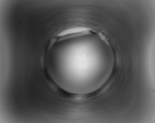 X0000087620088200705252011
