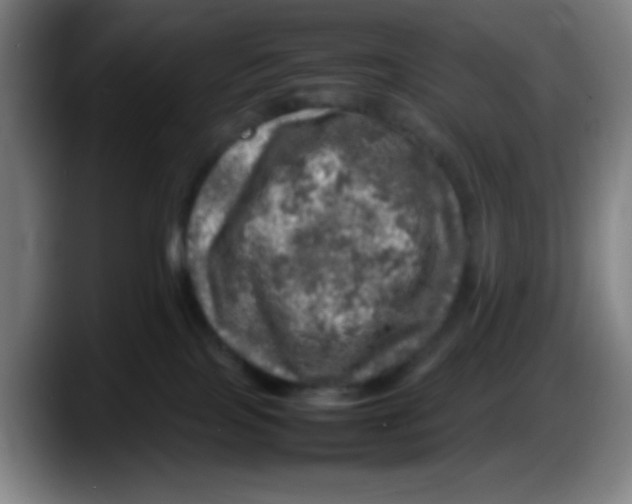 X0000087620089200705252011